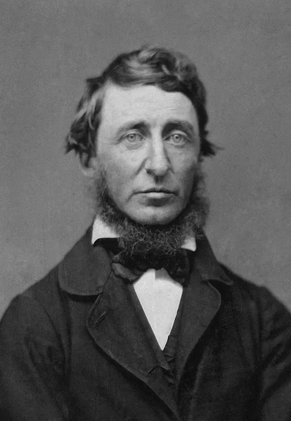 Henry David Thoreau avatar