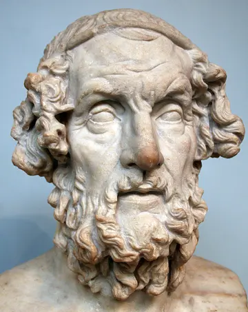 Homer profile