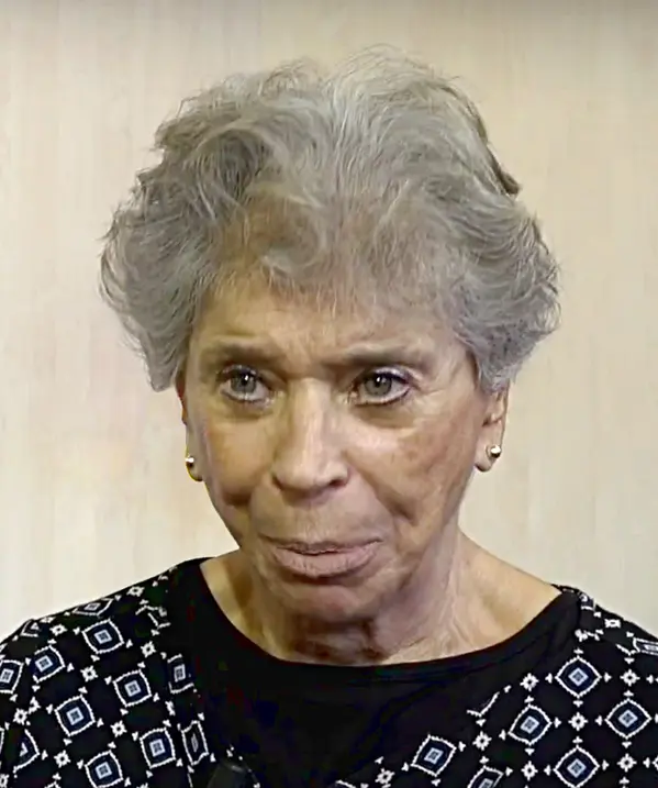 Vivian Gornick avatar