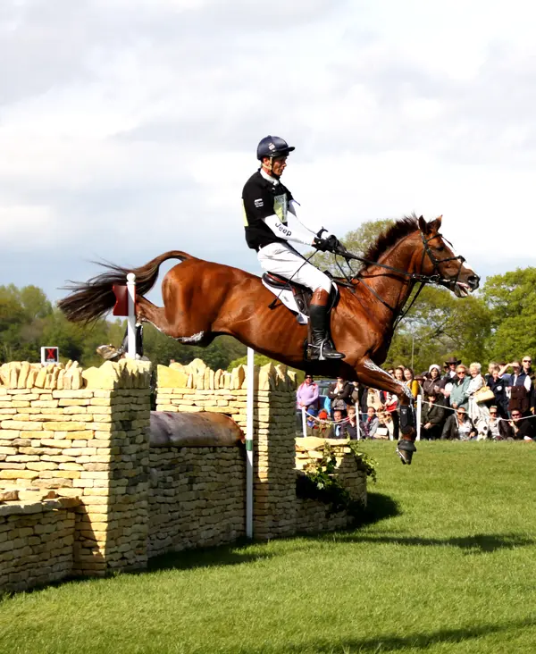 William Fox-Pitt avatar