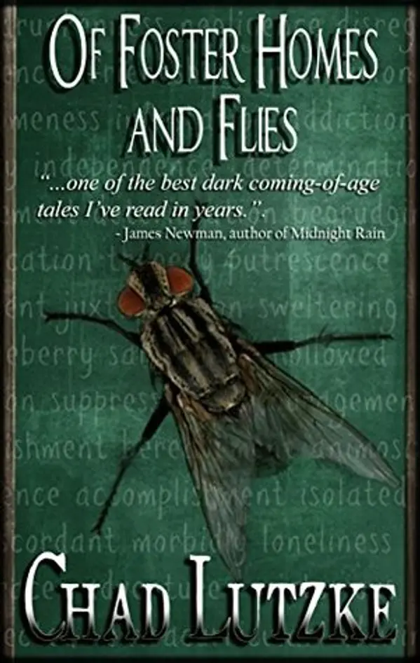 Of Foster Homes and Flies by Chad Lutzke cover