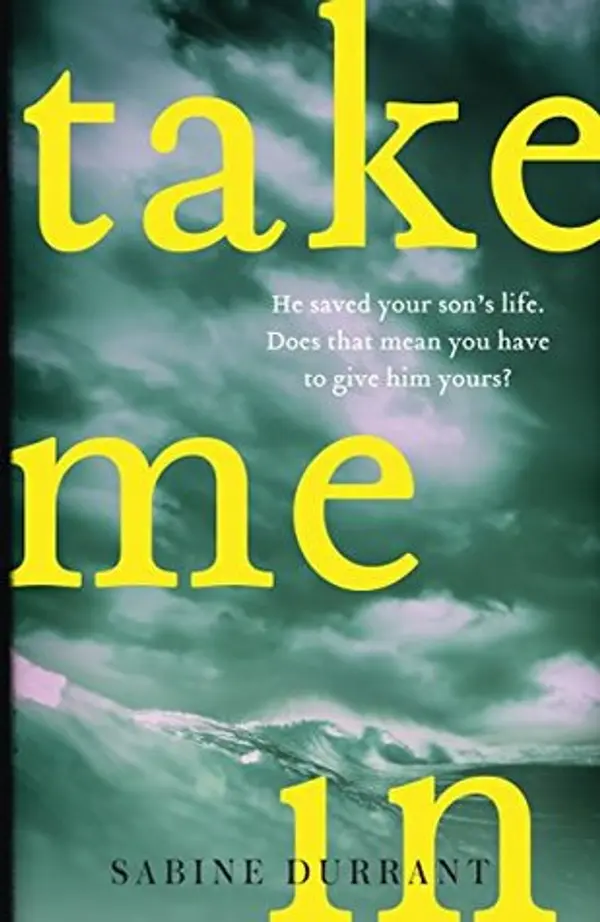 Take Me In by Sabine Durrant cover