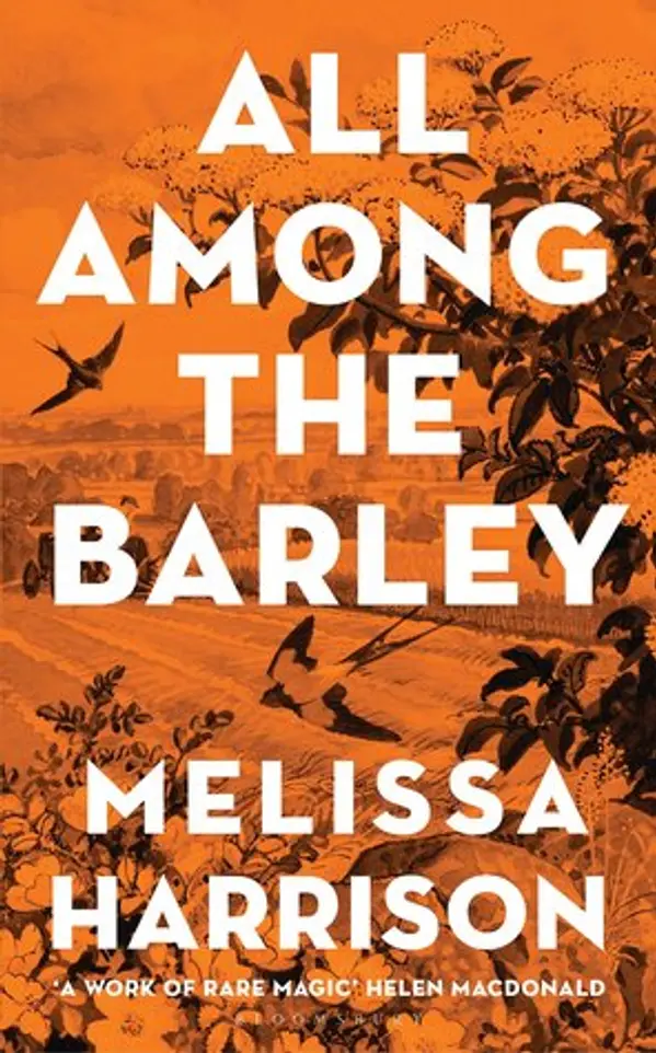 All Among the Barley by Melissa  Harrison cover