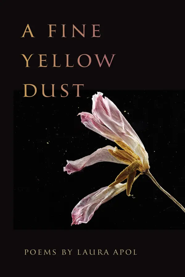 A Fine Yellow Dust by Laura Apol cover
