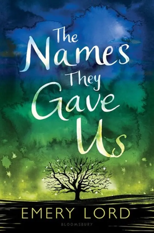 The Names They Gave Us by Emery Lord cover