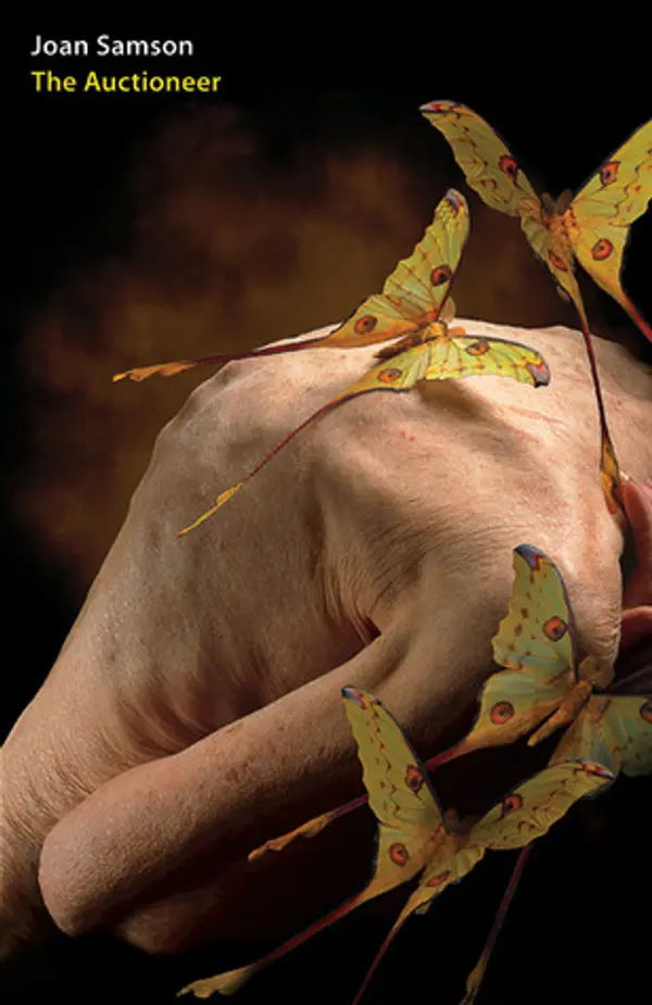 The Auctioneer by Joan Samson cover