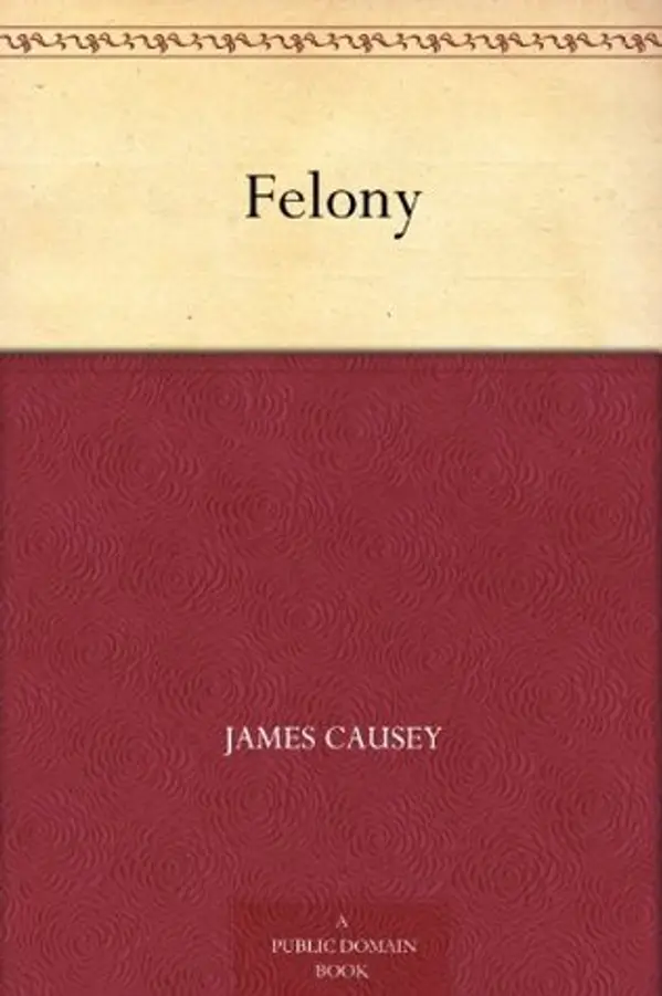 Felony by James Causey cover