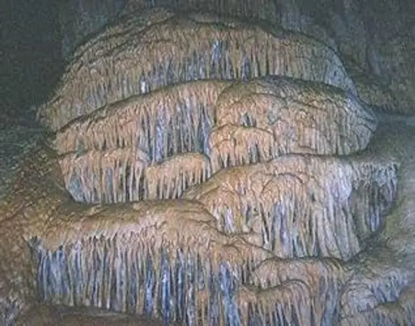 Ted the Caver by Ted cover