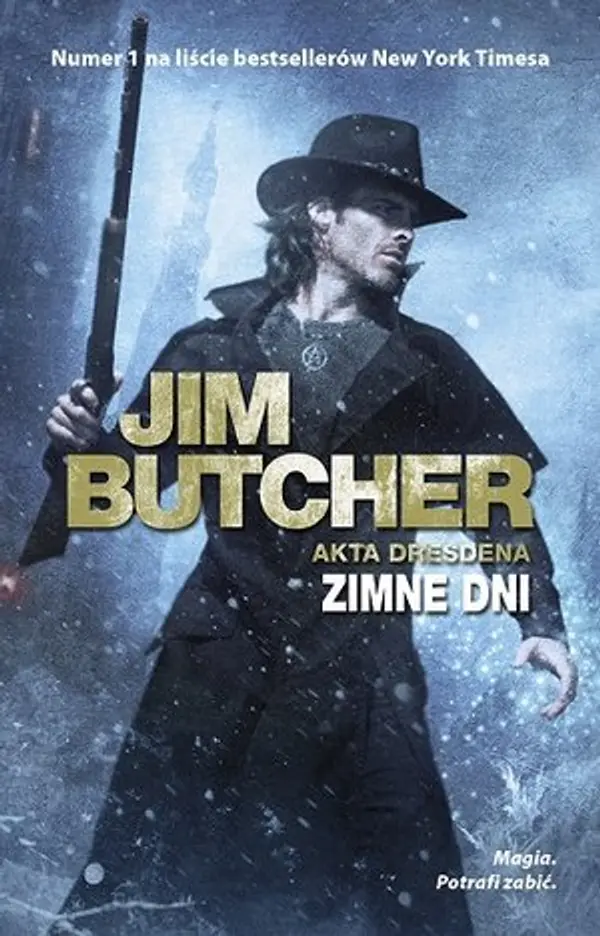 Zimne dni (Akta Harry’ego Dresdena, #14) by Jim Butcher cover