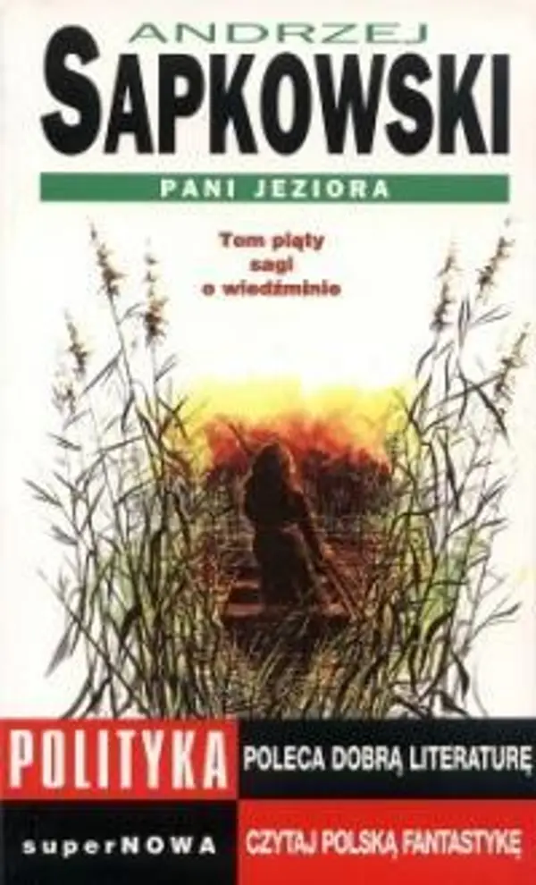 Pani Jeziora (Saga o Wiedźminie, #5) by Andrzej Sapkowski cover