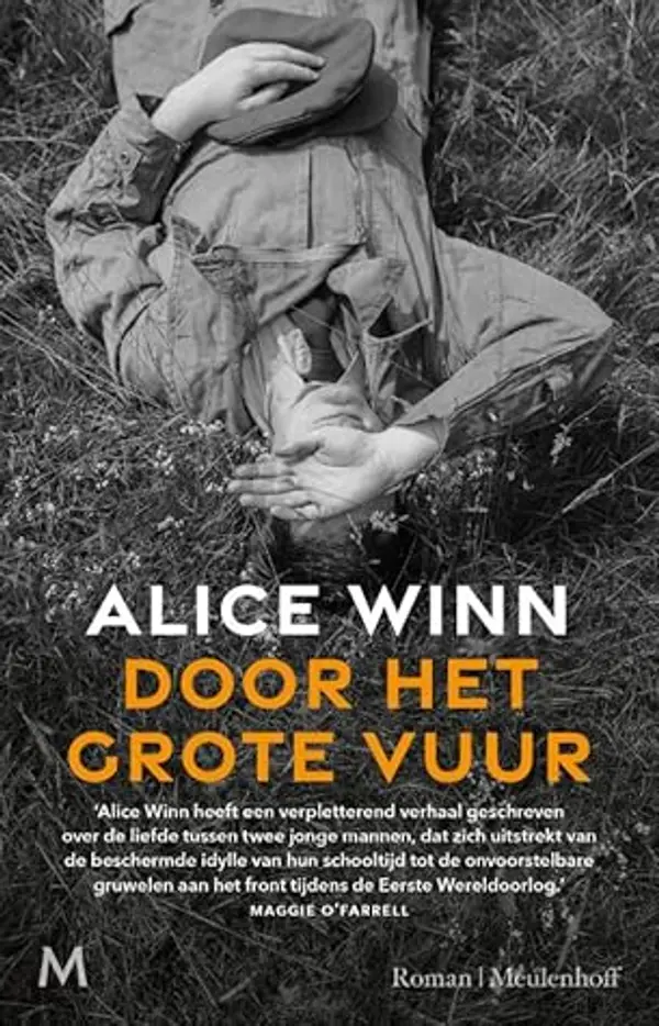 Door het grote vuur by Alice Winn cover