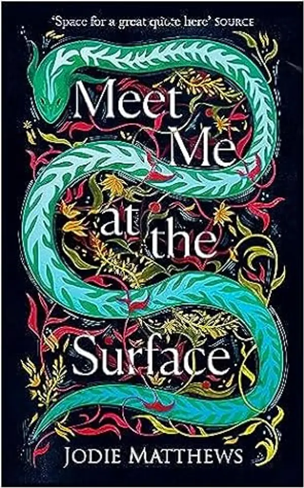 Meet Me at the Surface by Jodie   Matthews cover