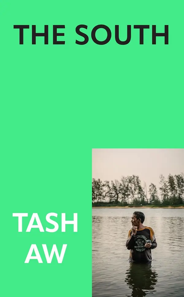 The South by Tash Aw cover