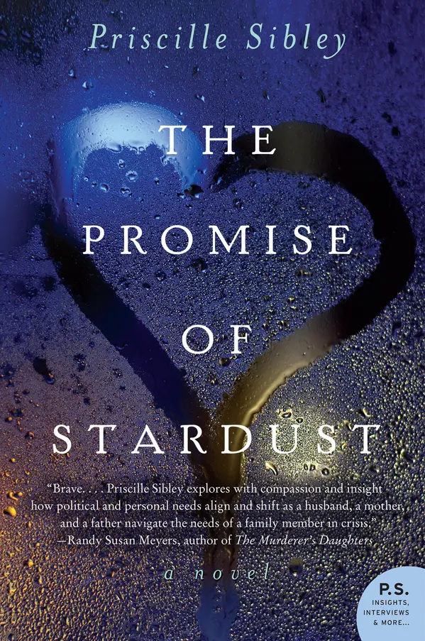 The Promise of Stardust by Priscille Sibley cover