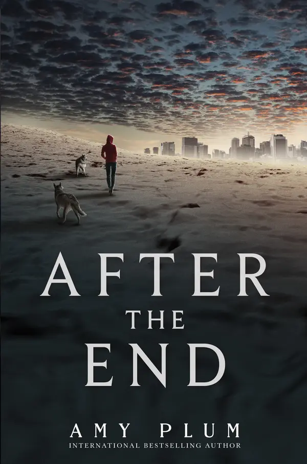 After the End by Amy Plum cover