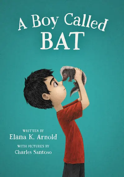 A Boy Called Bat book cover