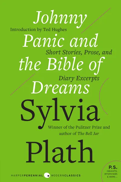 Johnny Panic and the Bible of Dreams book cover