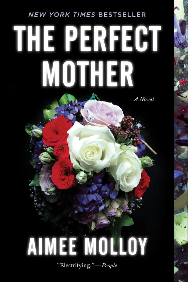 The Perfect Mother by Aimee Molloy cover