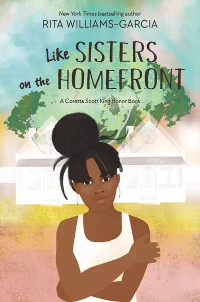 Like Sisters on the Homefront book cover