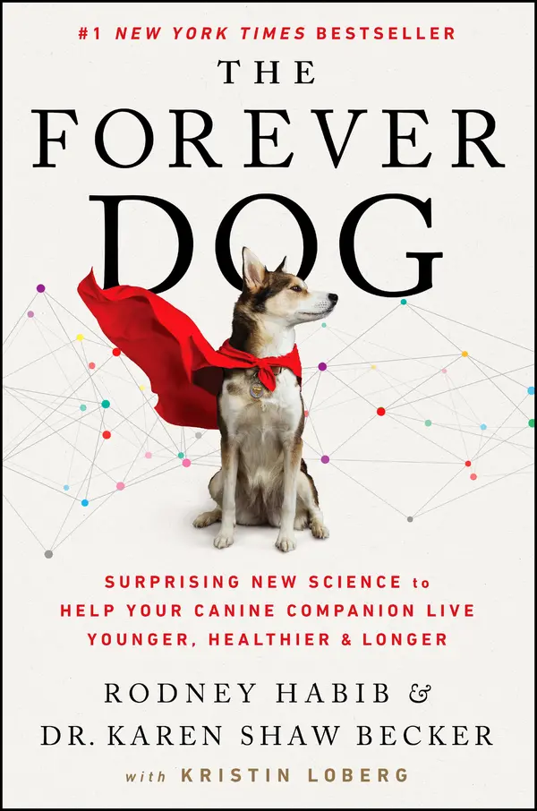 The Forever Dog by Rodney Habib, Karen Shaw Becker cover