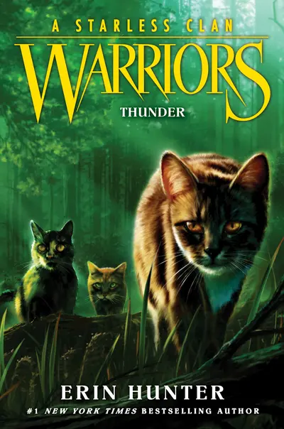 Warriors: A Starless Clan #4: Thunder book cover