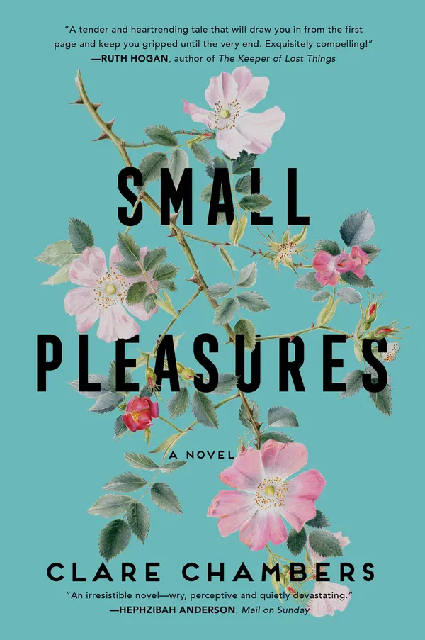 Small Pleasures by Clare Chambers cover