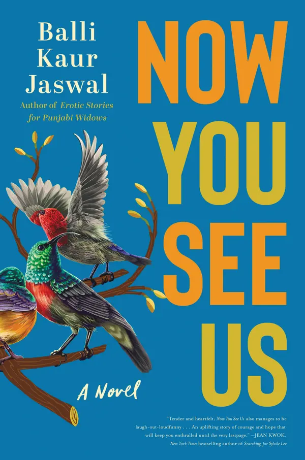 Now You See Us by Balli Kaur Jaswal cover