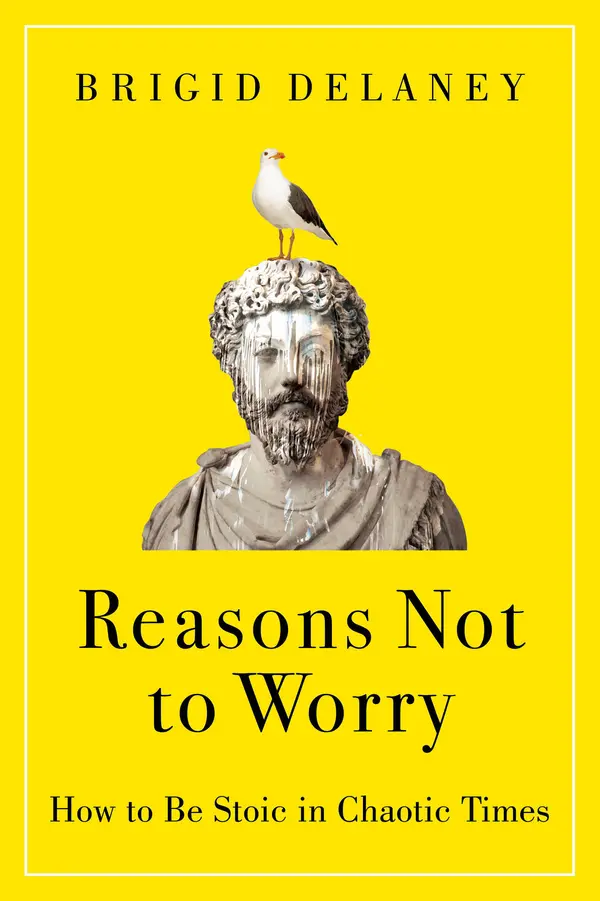 Reasons Not to Worry by Brigid Delaney cover