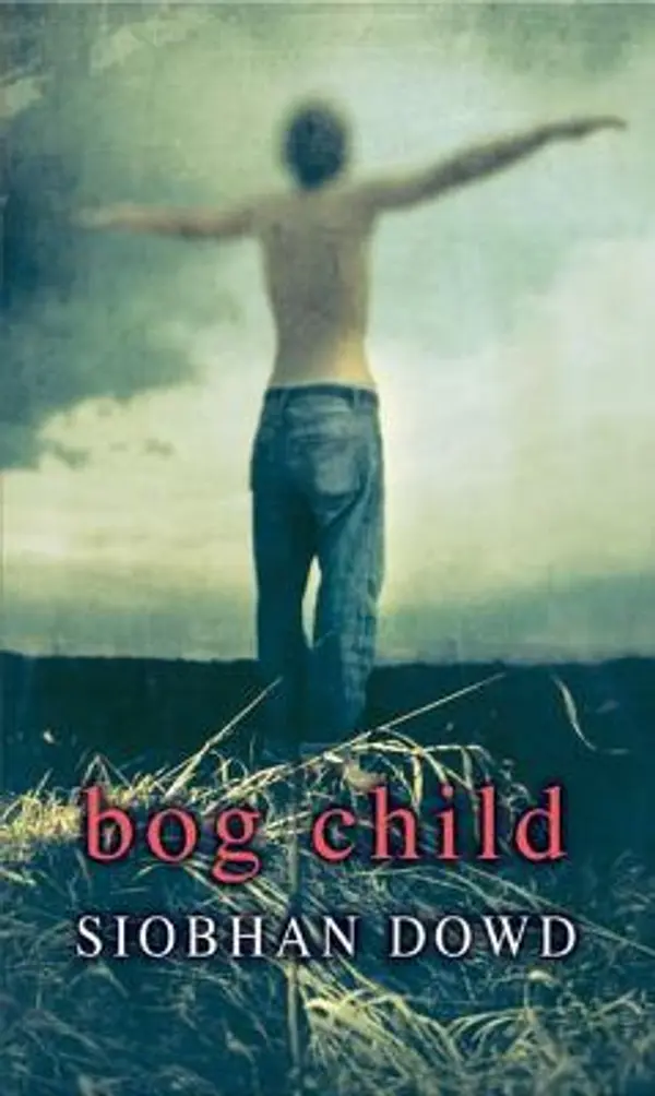 Rollercoasters: Bog Child: Siobhan Dowd by Siobhan Dowd cover