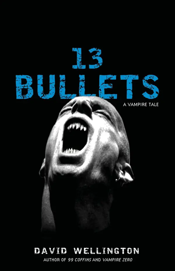 13 Bullets by David Wellington cover