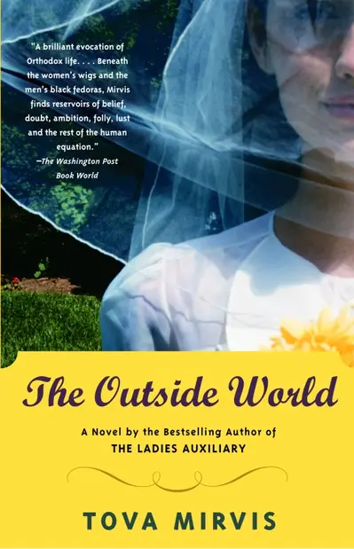 The Outside World book cover
