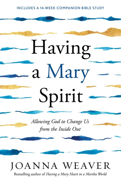 Having a Mary Spirit book cover