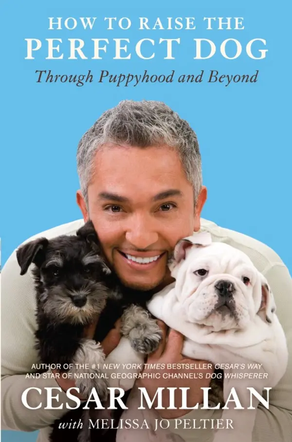 How to Raise the Perfect Dog by Cesar Millan, Melissa Jo Peltier cover