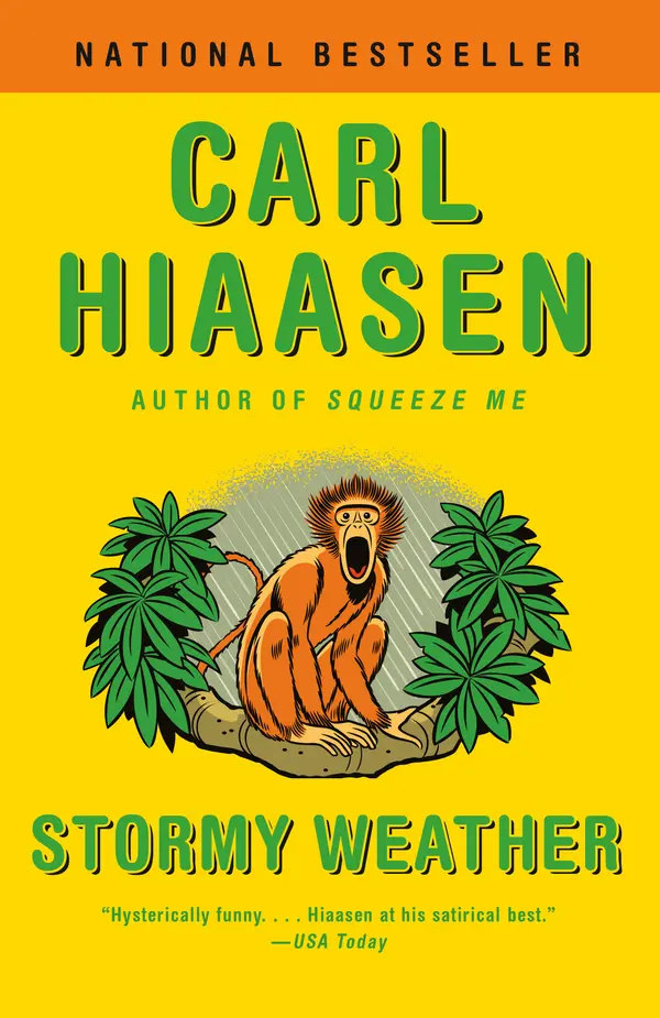 Stormy Weather by Carl Hiaasen cover