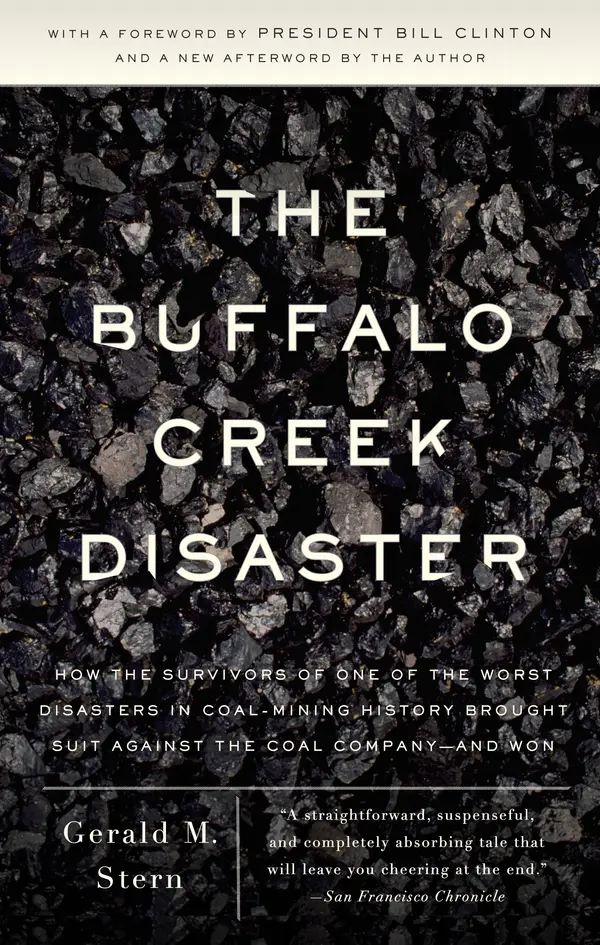 The Buffalo Creek Disaster by Gerald M. Stern cover