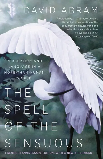 The Spell of the Sensuous book cover