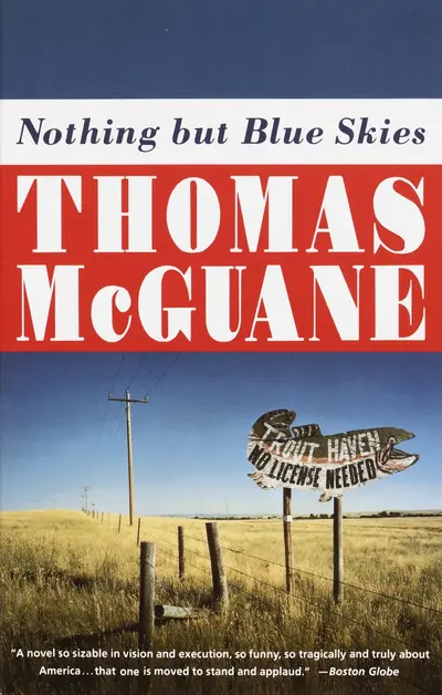 Nothing but Blue Skies book cover
