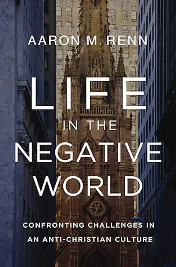 Life in the Negative World: Confronting Challenges in an Anti-Christian Culture by Aaron Renn cover