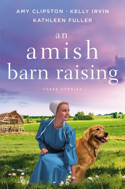 An Amish Barn Raising book cover