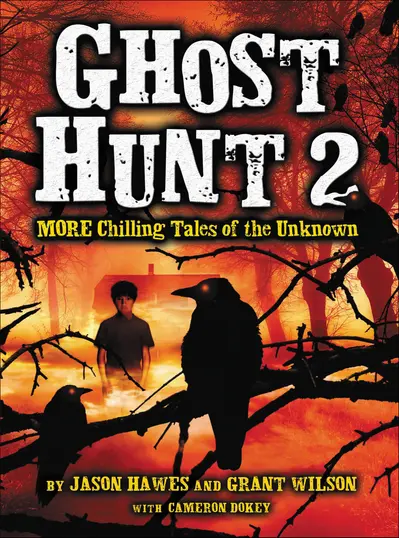 Ghost Hunt 2 book cover