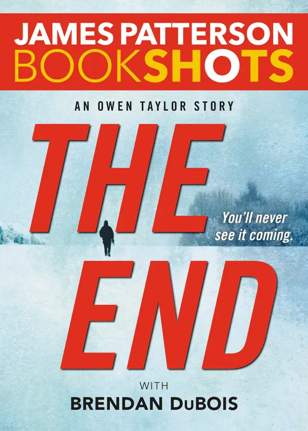 The End by James Patterson, Brendan DuBois cover