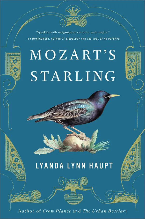 Mozart's Starling by Lyanda Lynn Haupt cover