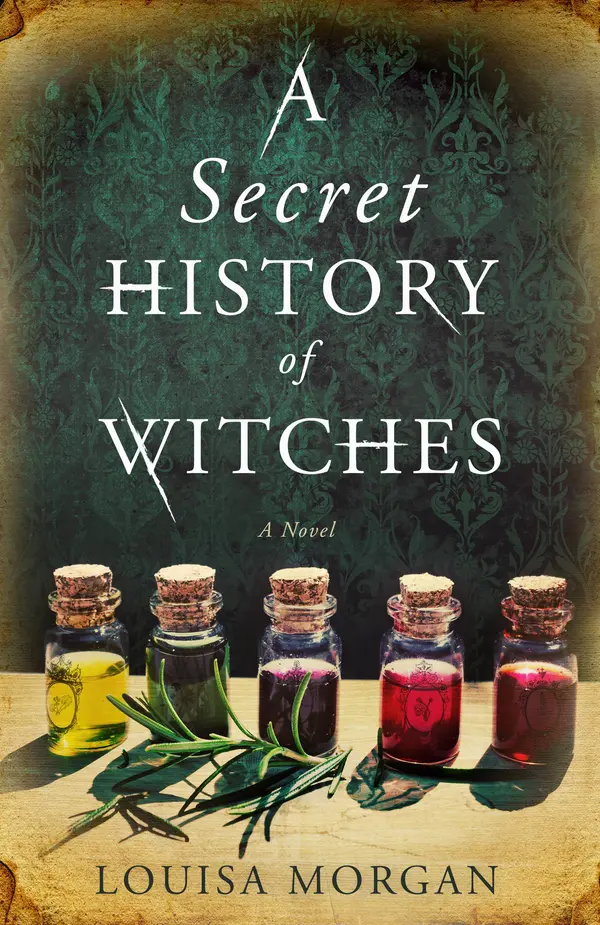 A Secret History of Witches by Louisa Morgan cover
