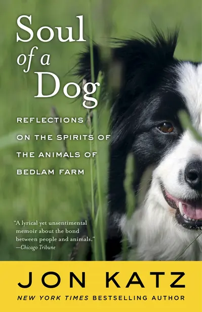 Soul of a Dog book cover