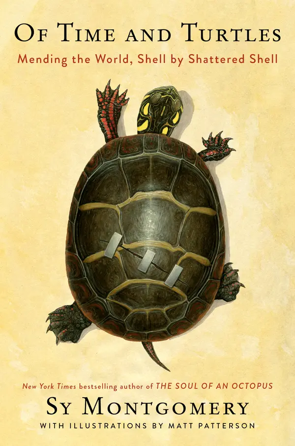 Of Time and Turtles by Sy Montgomery, Matt Patterson cover
