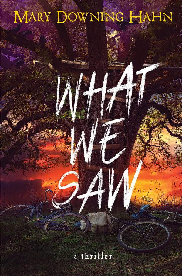 What We Saw by Mary Downing Hahn cover