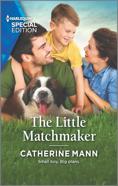 The Little Matchmaker book cover