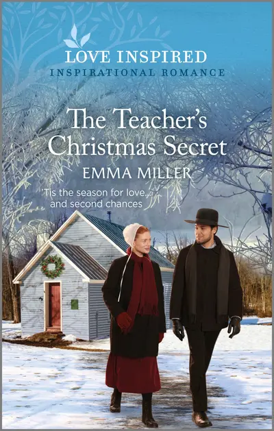 The Teacher's Christmas Secret book cover