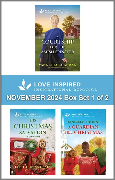 Love Inspired November 2024 Box Set - 1 of 2 book cover
