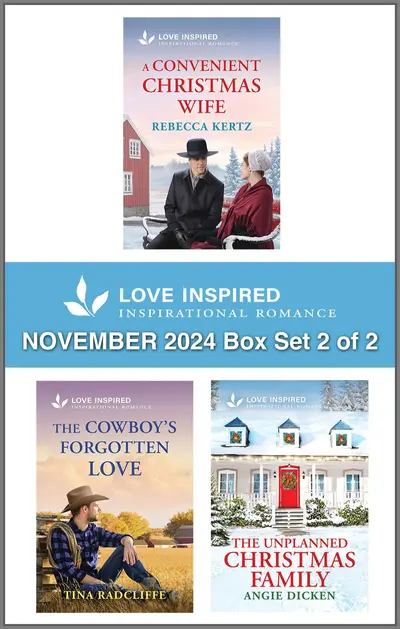 Love Inspired November 2024 Box Set - 2 of 2 book cover